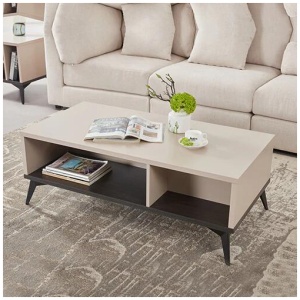 Coffee Table 2 Open Storage Cabinet MDF in Champagne Colour