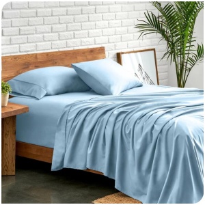 Ddecor Home 1500 Thread count Premium Cotton Blend Seafoam Queen Sheet Set by Ddecor Home