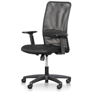 Elroy Mesh Office Chair - Black by Interior Secrets - AfterPay Available