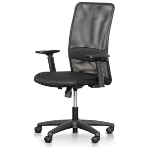 Elroy Mesh Office Chair - Black by Interior Secrets - AfterPay Available
