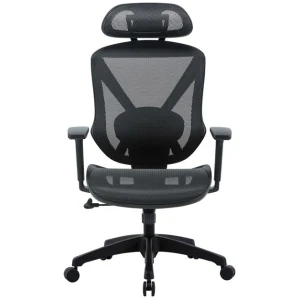 Esparza Mesh Ergonomic Office Chair - Black by Interior Secrets - AfterPay Available