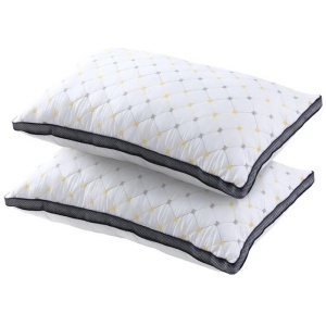Giselle 2pcs Pillows Microfibre