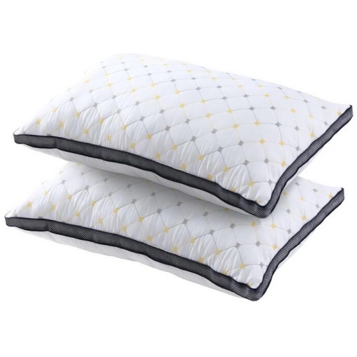 Giselle 2pcs Pillows Microfibre