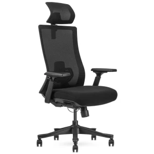 Lifespan Fitness DM9 Ergonomic Mesh High Back Office Chair