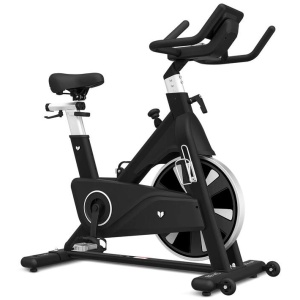 Lifespan Fitness SM810 Commercial Spin Bike