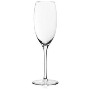 Outdoors Sparkling Champagne Glass Set of 4 Size 255ml by Plumm
