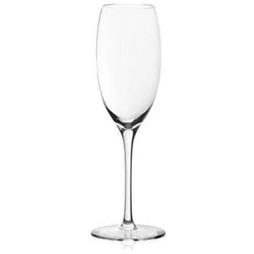Outdoors Sparkling Champagne Glass Set of 4 Size 255ml by Plumm