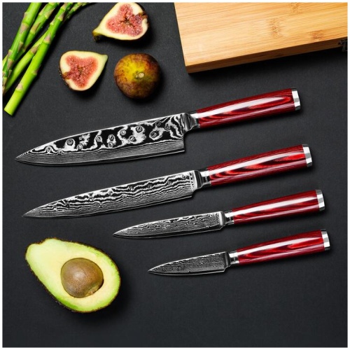Professional 67 Layer Damascus Steel 4pc Chef Knife Set Beautiful Bamboo Case