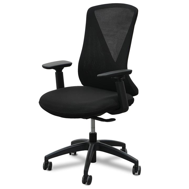 Shadow Ergonomic Office Chair - Black by Interior Secrets - AfterPay Available