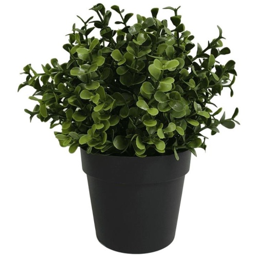 Small Potted Artificial Buxus Plant UV Resistant 20cm