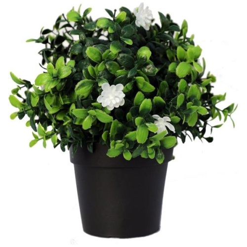 Small Potted Artificial Flowering Boxwood Plant UV Resistant 20cm