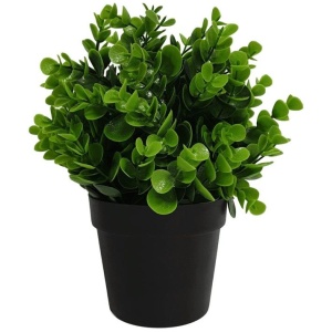 Small Potted Artificial Peperomia Plant UV Resistant 20cm