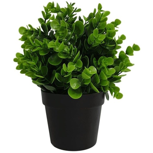 Small Potted Artificial Peperomia Plant UV Resistant 20cm