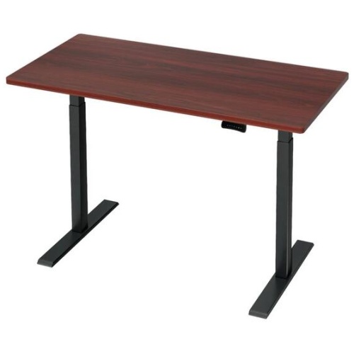 Standing Desk Motorised Dual Motor Walnut 120CM
