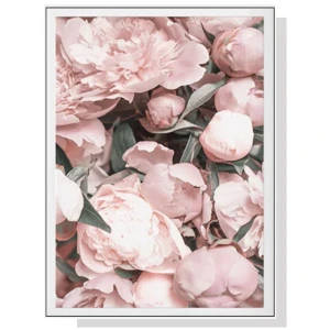 Wall Art 100cmx150cm Peony White Frame Canvas