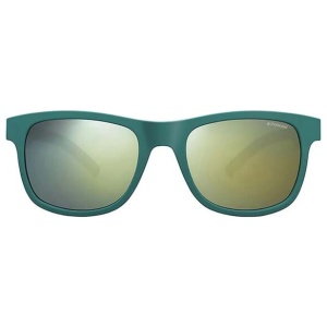 Polaroid 6015/s Square Sunglasses