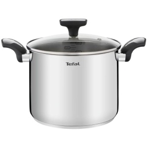 Tefal Emotion Induction Stainless Steel Stock Pot 6.2L