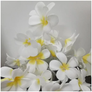 1 Set of 20 LED White Frangipani Flower Battery String Lights Christmas Gift Home Wedding Beach Party Decoration Outdoor Table Centrepiece
