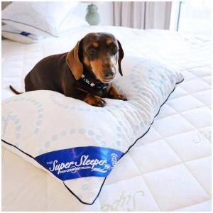 Super Sleeper Pro Adjustable Every Comfort Pillow With Cooling Technology - TV Double Offer!
