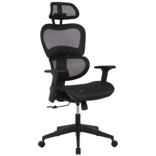 Elite Modern Ergonomic Mesh Executive Office Computer Working Chair - Black
