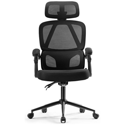 Eureka OC16 Nero Ergonomic Home/Office Chair - Black