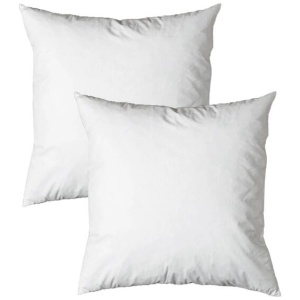 Pair of Duck Feather Rich Fill European Cushion Inserter 65 x 65 cm