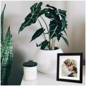 Profile - Elegant Deluxe 10x10/8x8" Photo Frame - Black