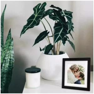 Profile - Elegant Deluxe 10x10/8x8" Photo Frame - Black
