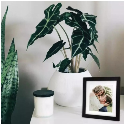 Profile - Elegant Deluxe 10x10/8x8" Photo Frame - Black