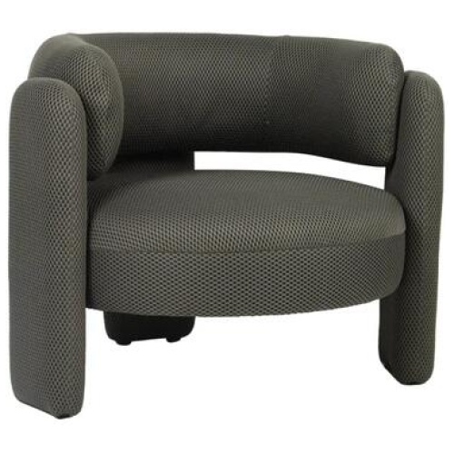 Raimon Furniture Tasa Mesh Fabric Occasional Armchair Accent Lounge Chair Fern