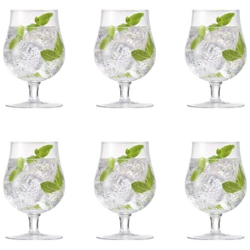Tulip Glass Set of 6 Size 480ml by Cellar