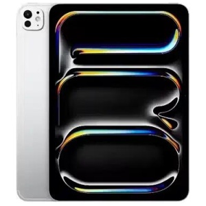 Apple iPad Pro M4 13-inch Wi-Fi + Cellular 256GB with Standard Glass - Silver