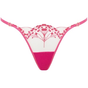 Bluebella Marisa Brief Fuchsia Pink/Sheer - 12