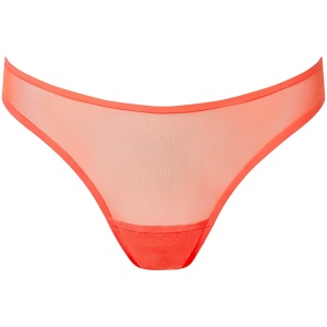 Bluebella Naomi Brief Hot Coral - 10