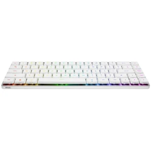 ASUS ROG FALCHION 65% Wireless Mechanical Gaming Keyboard (White) (Red Switches)