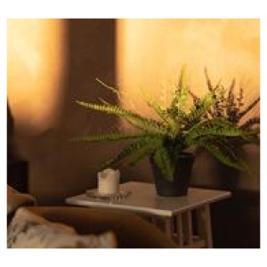 35Cm Ruffle Fern Artificial Plant Green Small