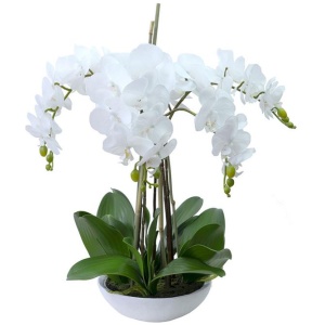 45Cm Phalaenopsis Orchid Artificial Plant White Small
