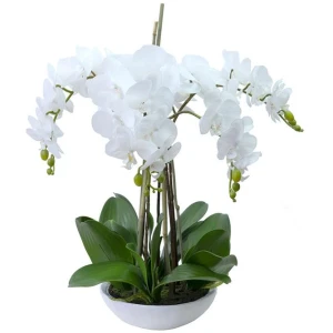45Cm Phalaenopsis Orchid Artificial Plant White Small