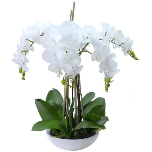 45Cm Phalaenopsis Orchid Artificial Plant White Small