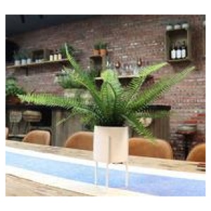 56Cm Boston Fern Artificial Plant Green