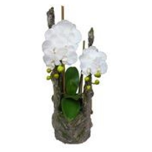 61Cm Phalaenopsis Orchid Artificial Plant White Medium