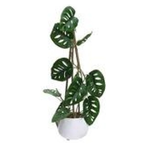 62Cm Climbing Monsteria Artificial Plant Green