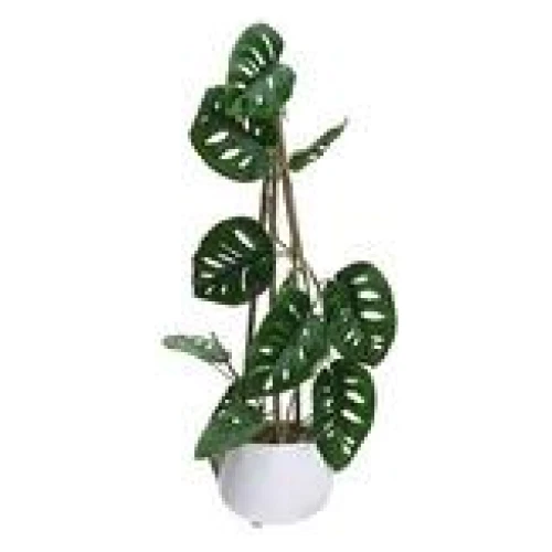 62Cm Climbing Monsteria Artificial Plant Green