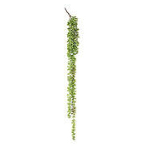 70Cm Long String Of Pearls Artificial Plant Green