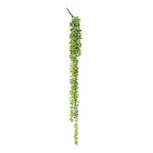 70Cm Long String Of Pearls Artificial Plant Green