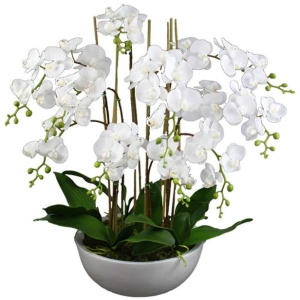 75Cm Phalaenopsis Orchid Artificial Plant White Large