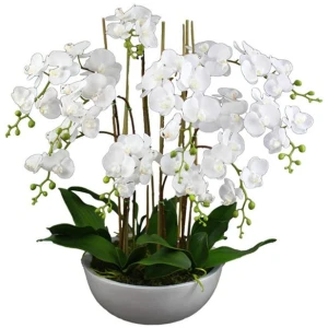 75Cm Phalaenopsis Orchid Artificial Plant White Large