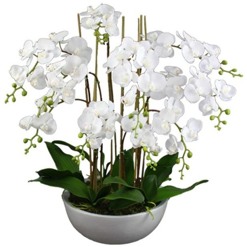 75Cm Phalaenopsis Orchid Artificial Plant White Large