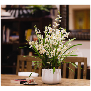 78Cm Dancing Lady Orchid Artificial Plant Neutral