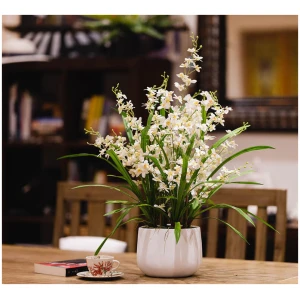 78Cm Dancing Lady Orchid Artificial Plant Neutral